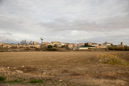 La DGA atribuye a uno o varios perros el ataque a un rebaño en Senés de...